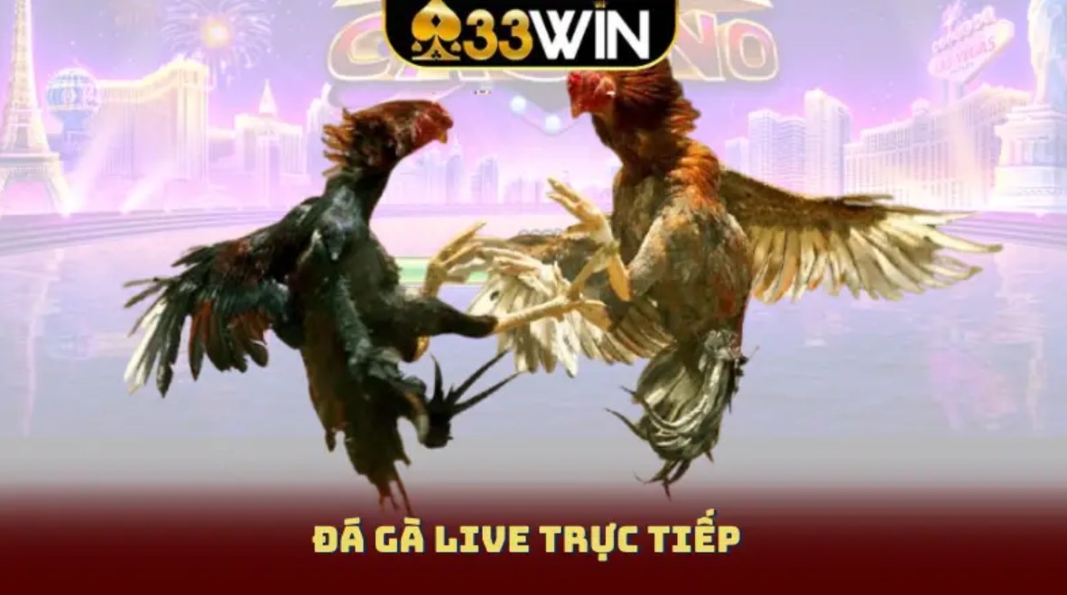 Cách tham gia cược chọi gà Thomo tại 33WIN