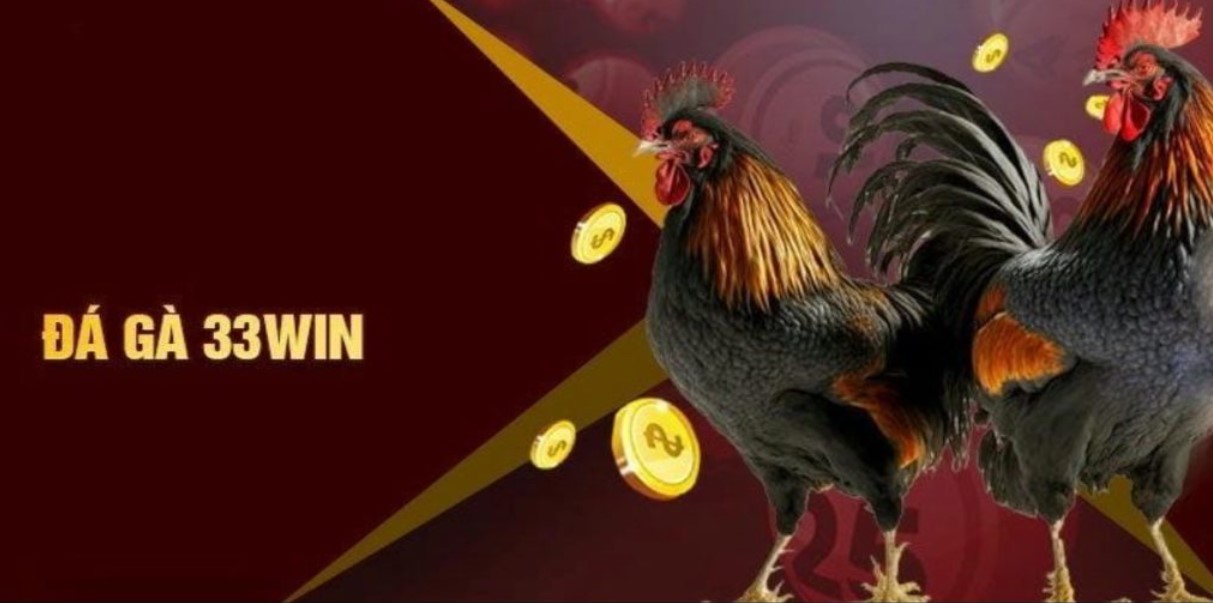 Giới thiệu sảnh đá gà 33WIN trực tuyến